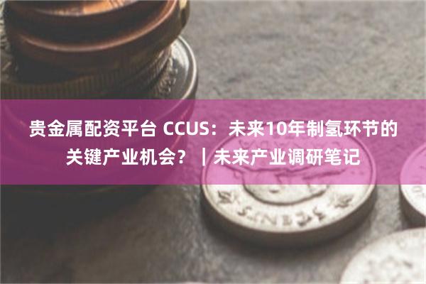 贵金属配资平台 CCUS：未来10年制氢环节的关键产业机会？｜未来产业调研笔记