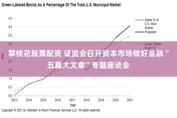 攀枝花股票配资 证监会召开资本市场做好金融“五篇大文章”专题座谈会