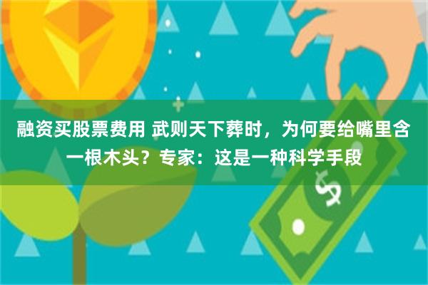 融资买股票费用 武则天下葬时，为何要给嘴里含一根木头？专家：这是一种科学手段