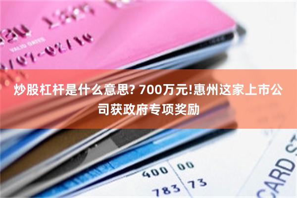 炒股杠杆是什么意思? 700万元!惠州这家上市公司获政府专项奖励