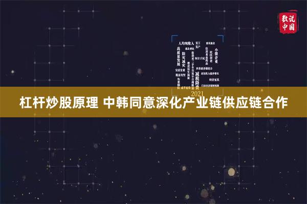 杠杆炒股原理 中韩同意深化产业链供应链合作