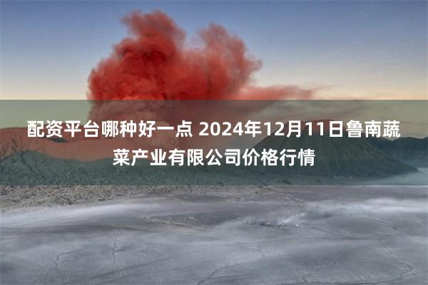 配资平台哪种好一点 2024年12月11日鲁南蔬菜产业有限公司价格行情