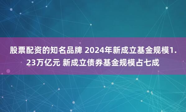 股票配资的知名品牌 2024年新成立基金规模1.23万亿元 新成立债券基金规模占七成