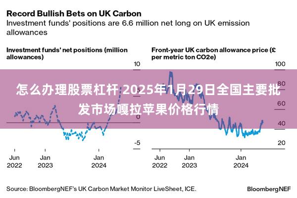 怎么办理股票杠杆 2025年1月29日全国主要批发市场嘎拉苹果价格行情