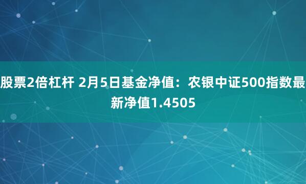 股票2倍杠杆 2月5日基金净值：农银中证500指数最新净值1.4505