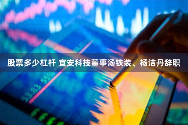 股票多少杠杆 宜安科技董事汤铁装、杨洁丹辞职