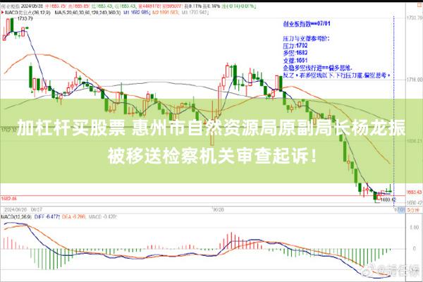 加杠杆买股票 惠州市自然资源局原副局长杨龙振被移送检察机关审查起诉！